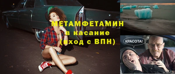 сатива Беломорск