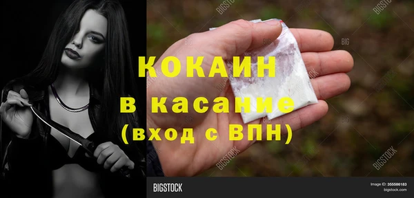 стафф Богданович