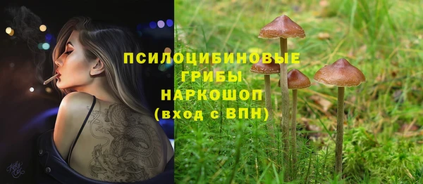 мефедрон Богородицк